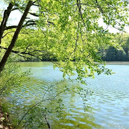 Vakantiehuis Bauernhauschen In The Rhon Bernshausen