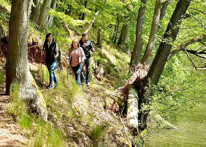 Bauernhauschen In The Rhon Feriehus Bernshausen